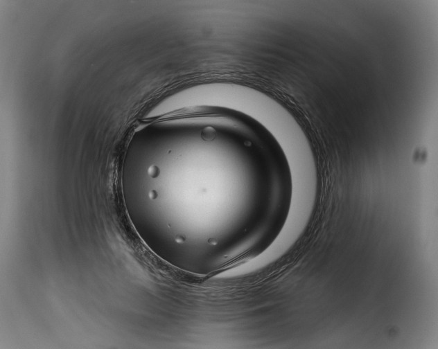 X0000115270647200911201730