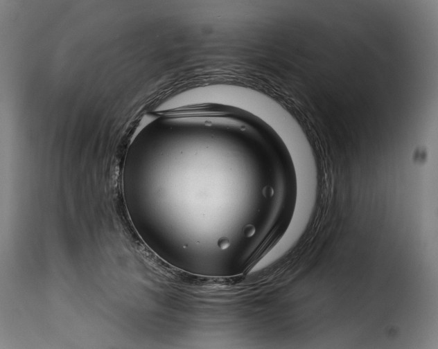 X0000115270657200911201730