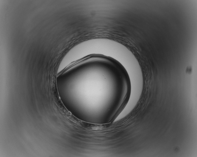 X0000115270659200911201730