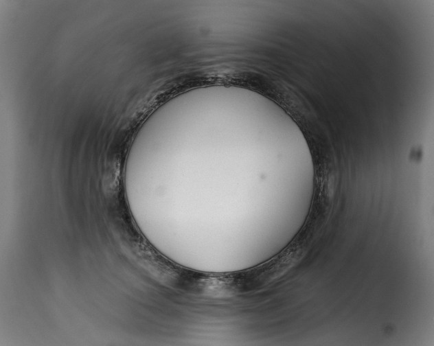 X0000115270660200911201730