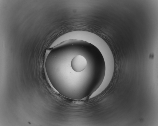 X0000115270665200911201730