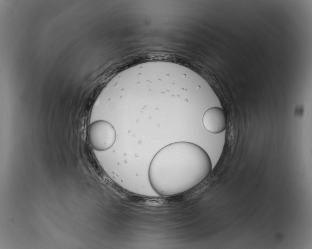 X0000115270666200911201730