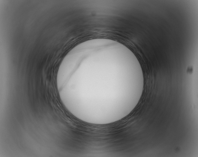 X0000115270667200911201730