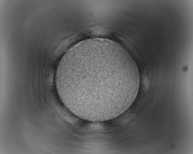 X0000115270668200911201730