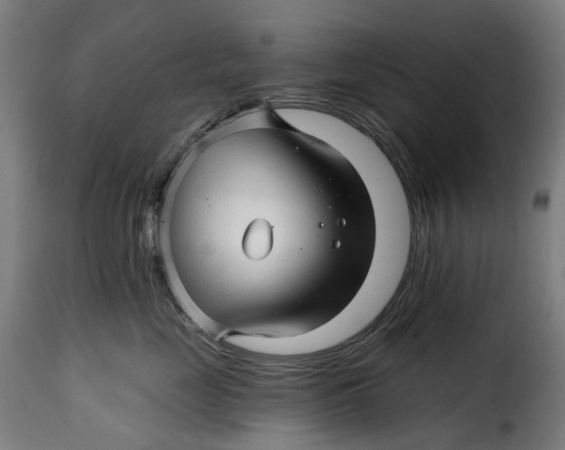 X0000115270669200911201730