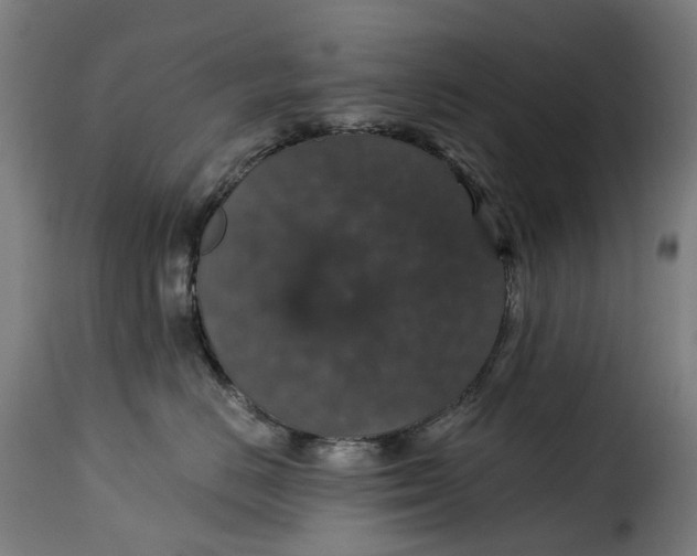 X0000115270670200911201730