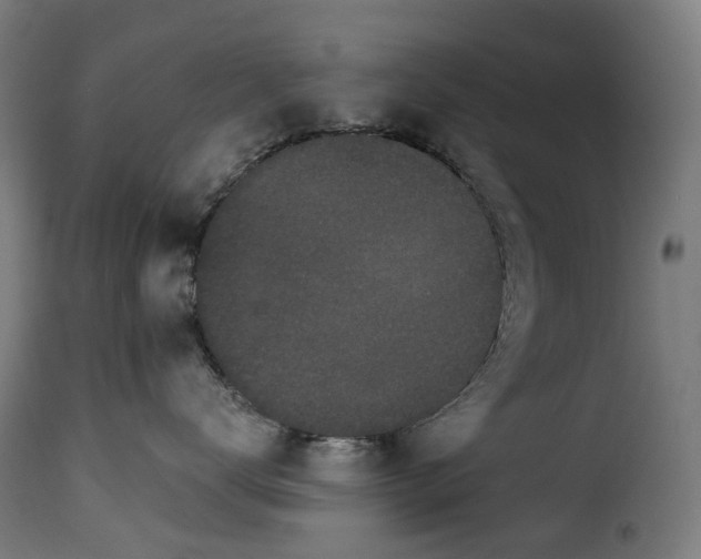 X0000115270672200911201730