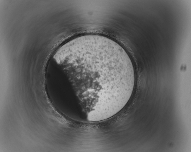 X0000115270673200911201729