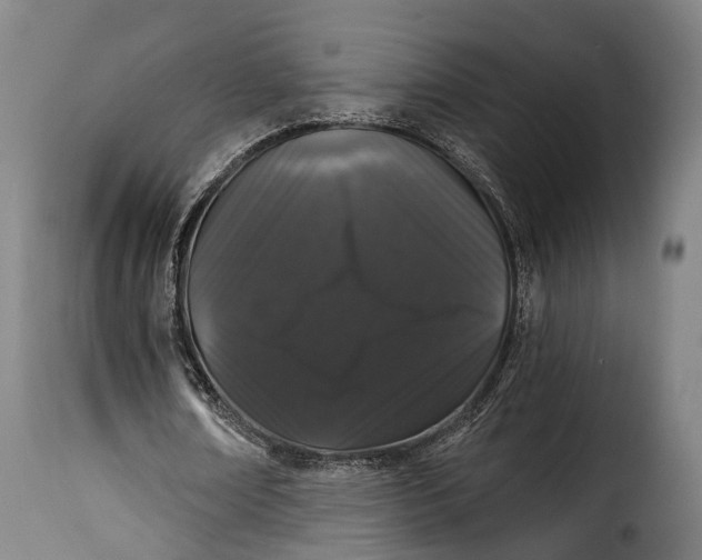 X0000115270674200911201729