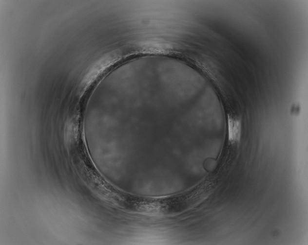 X0000115270675200911201729