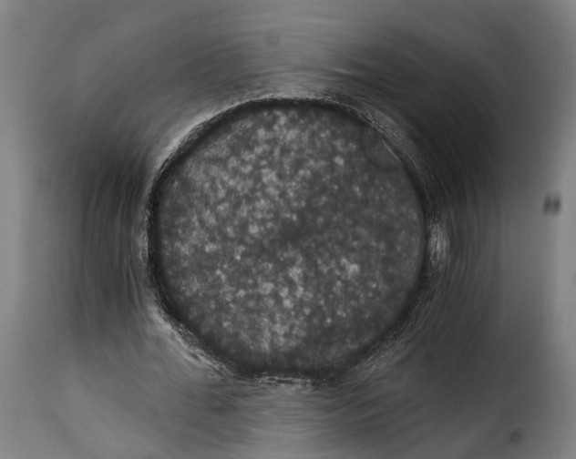 X0000115270676200911201729