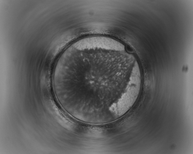 X0000115270677200911201729