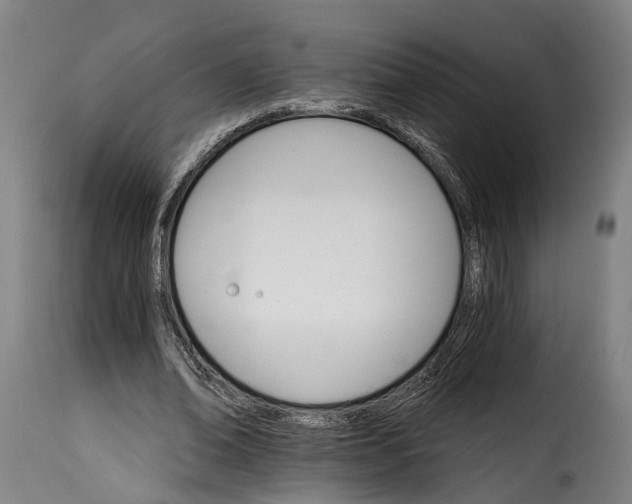 X0000115270678200911201729