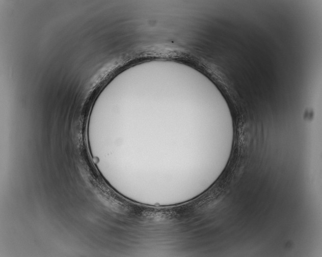 X0000115270679200911201729