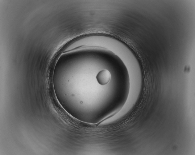 X0000115270680200911201729