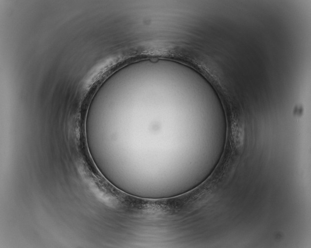 X0000115270682200911201729