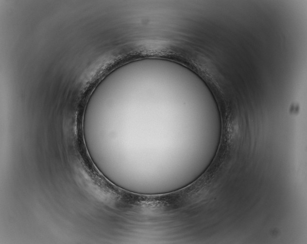 X0000115270686200911201729