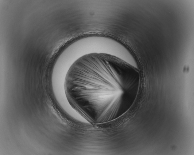 X0000115270688200911201729