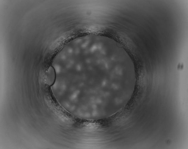 X0000115270689200911201729