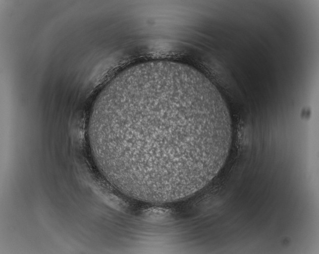 X0000115270691200911201729