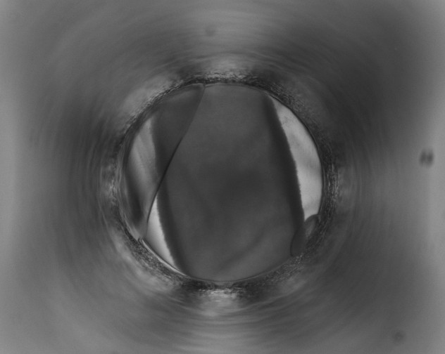 X0000115270692200911201729