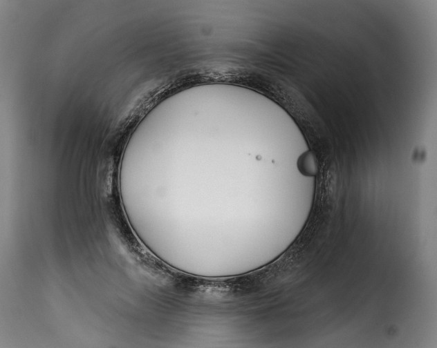X0000115270694200911201729