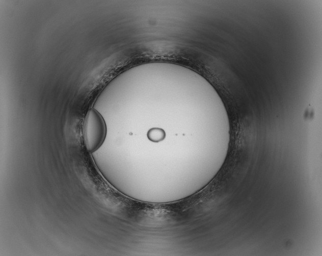 X0000115270695200911201729
