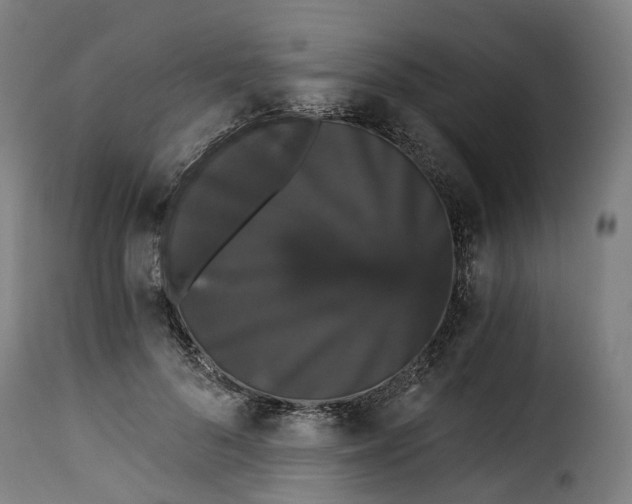 X0000115270696200911201729