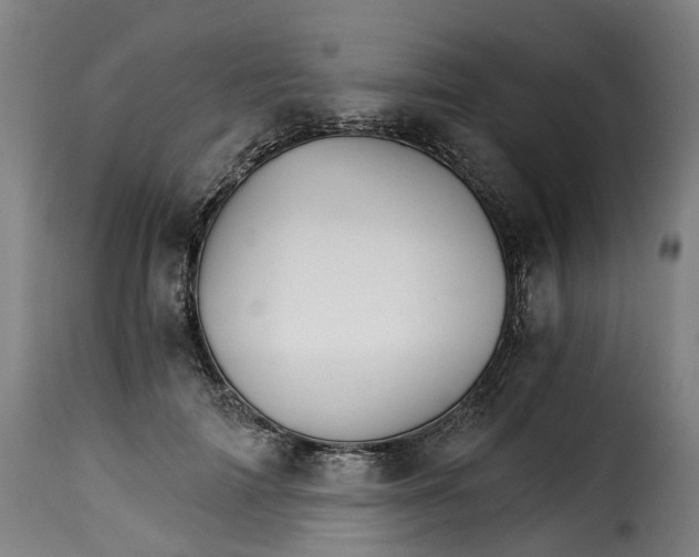 X0000115270698200911201729