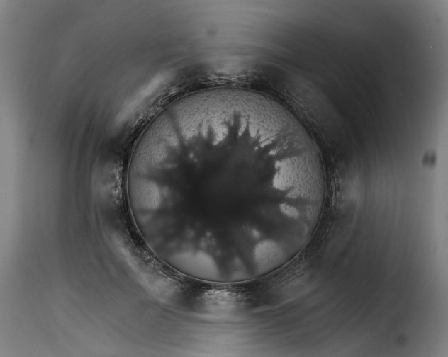 X0000115270699200911201729