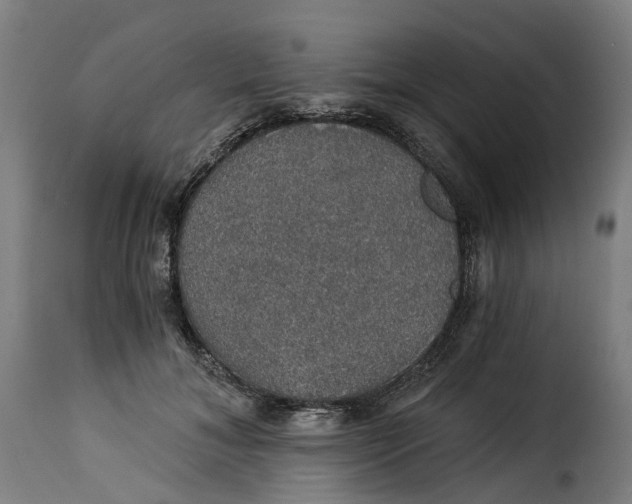 X0000115270700200911201729