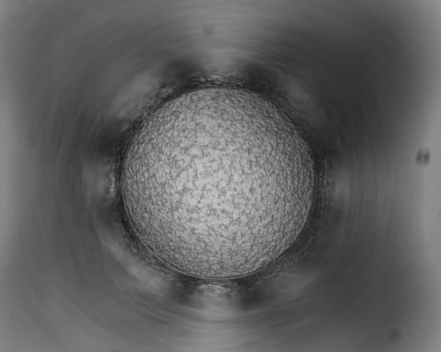 X0000115270703200911201729