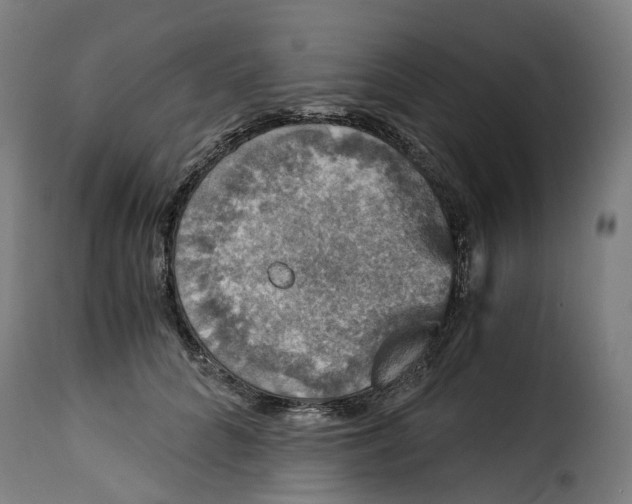 X0000115270704200911201729