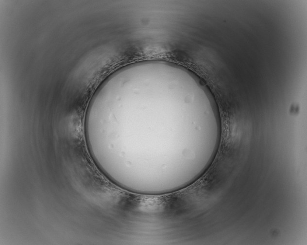 X0000115270705200911201729