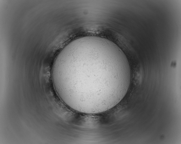 X0000115270707200911201729