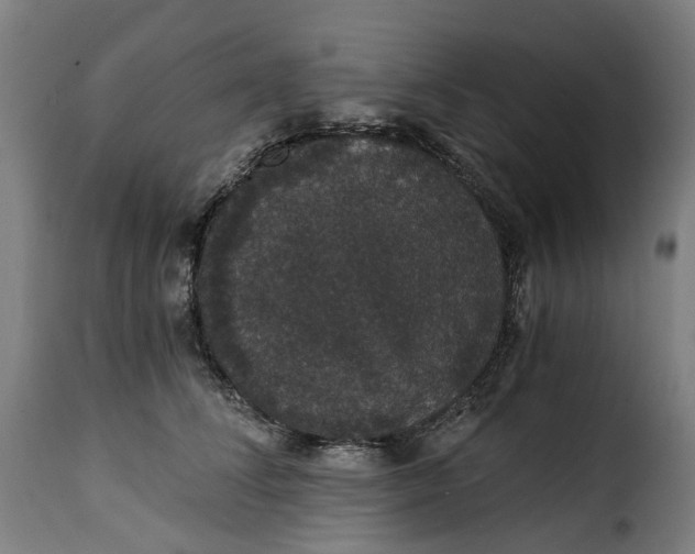 X0000115270708200911201729
