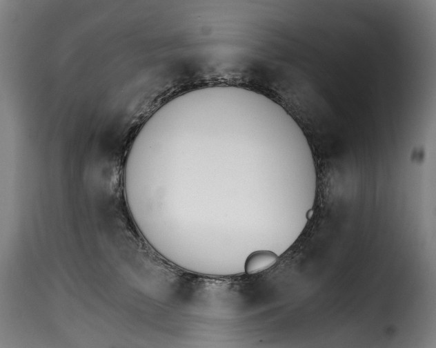 X0000115270709200911201729