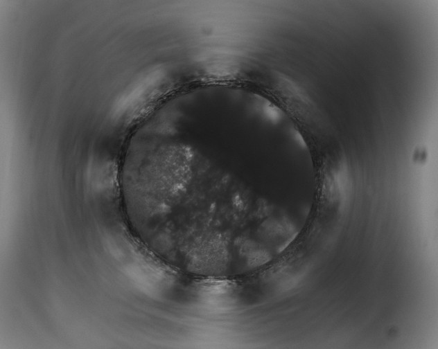 X0000115270711200911201729