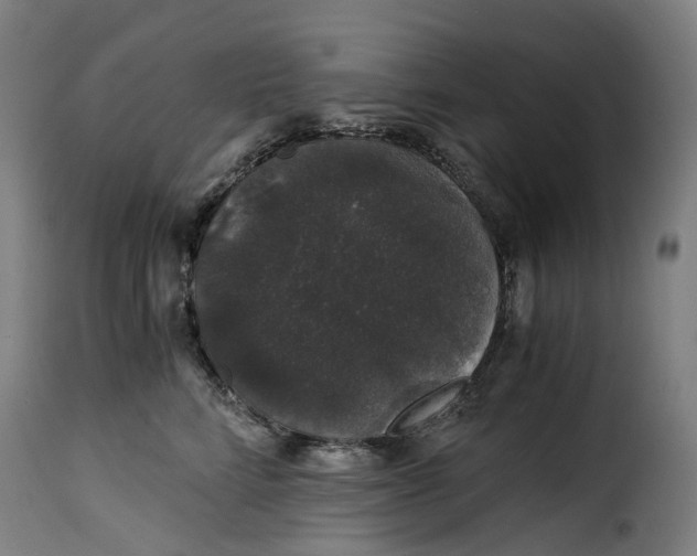 X0000115270712200911201729
