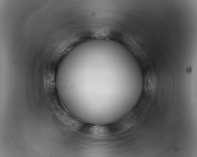 X0000115270714200911201729