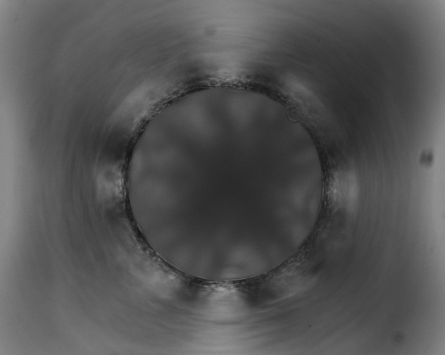 X0000115270715200911201729