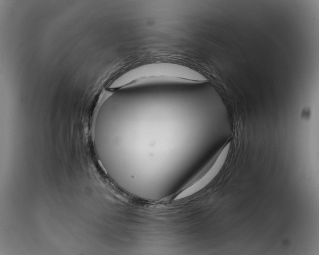 X0000115270716200911201729