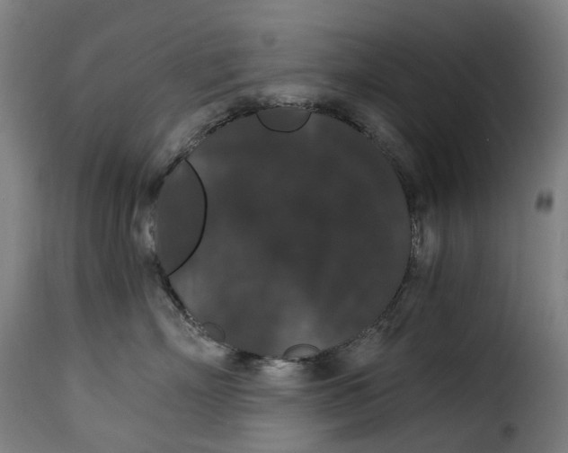X0000115270718200911201729