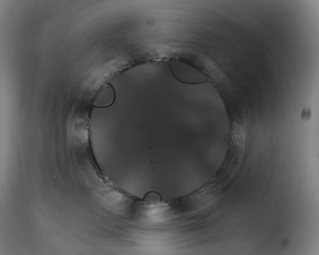 X0000115270719200911201729