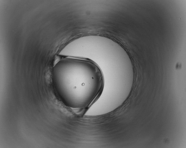 X0000115270720200911201729
