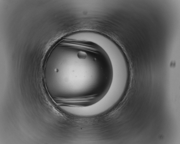 X0000115270721200911201728