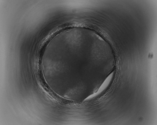 X0000115270722200911201728