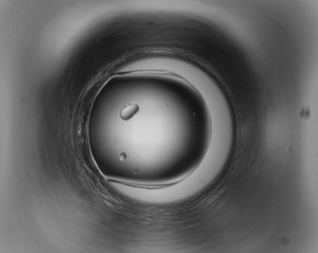 X0000115270723200911201728
