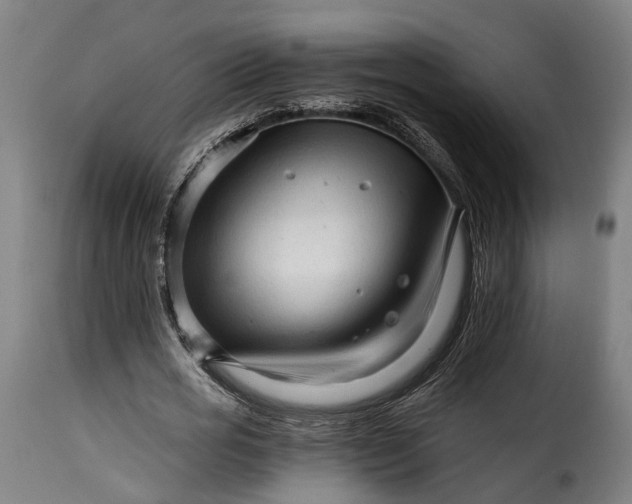 X0000115270725200911201728