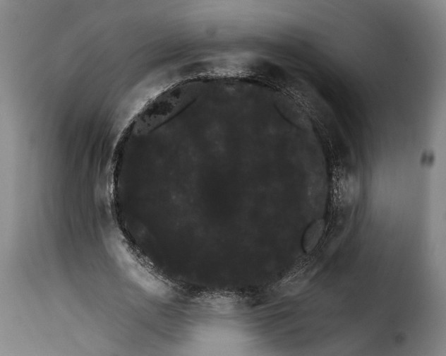 X0000115270726200911201728